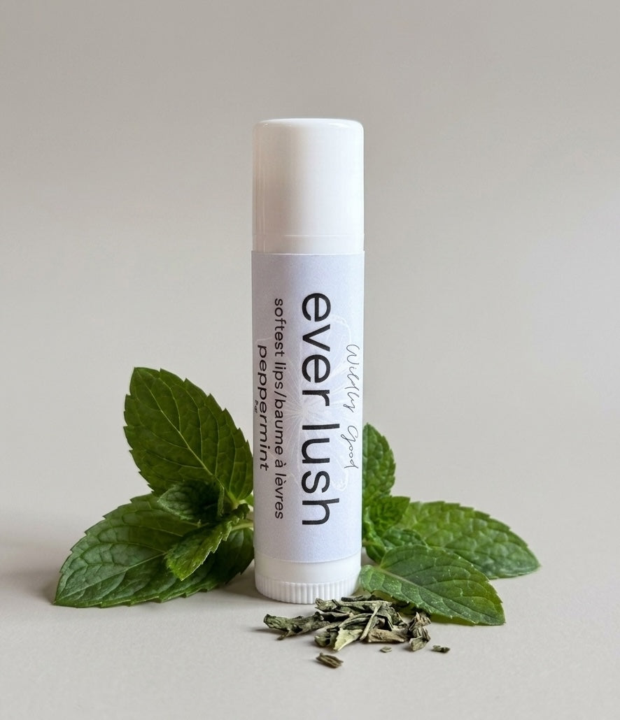 Lip Balm: Softest Lips